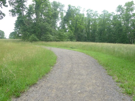 Enlarge photo 71