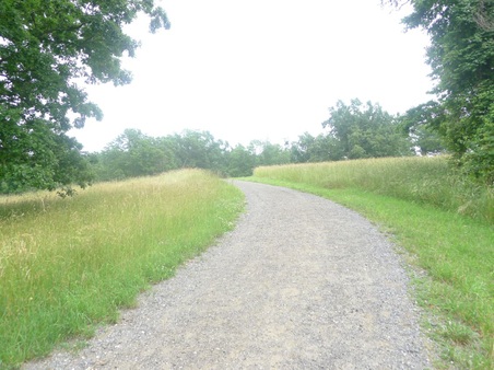 Enlarge photo 73