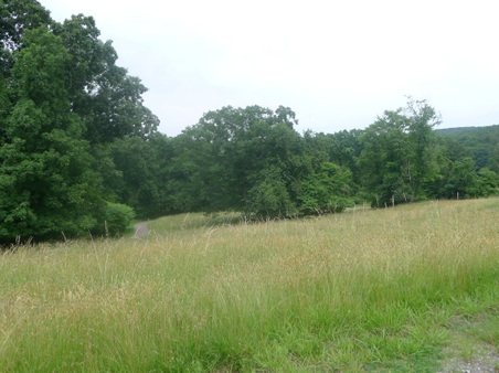 Enlarge photo 76