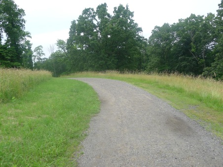 Enlarge photo 78