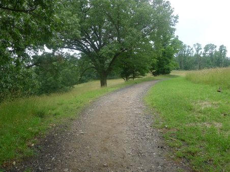 Enlarge photo 82