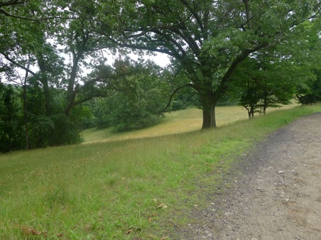 Enlarge photo 83