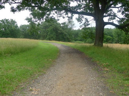 Enlarge photo 84