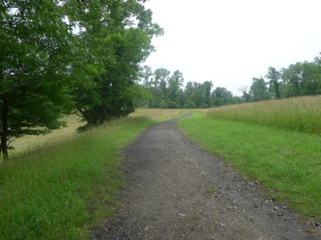 Enlarge photo 85