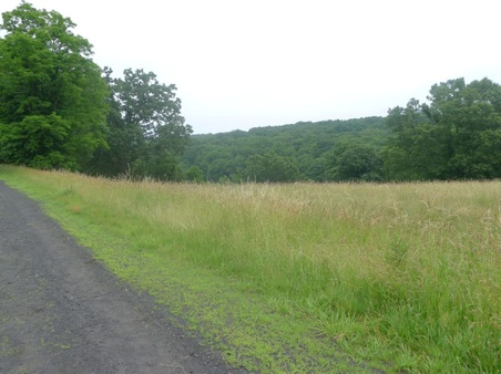 Enlarge photo 89
