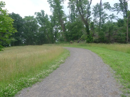 Enlarge photo 91