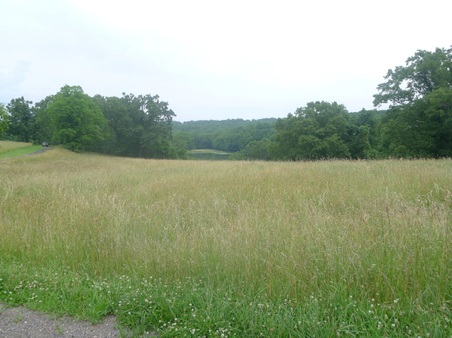 Enlarge photo 93