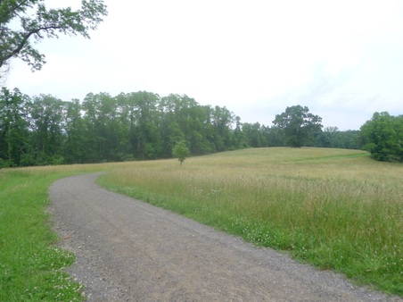 Enlarge photo 95