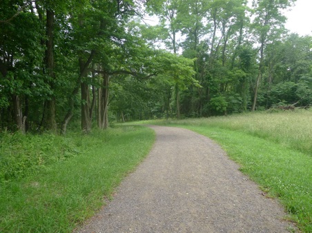 Enlarge photo 97