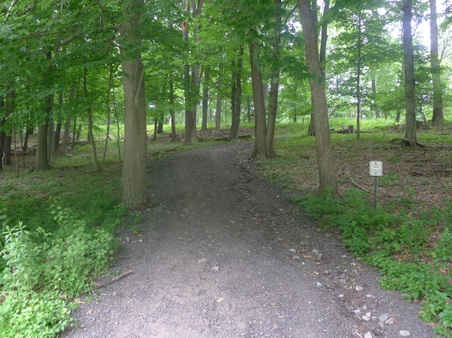 Enlarge photo 105