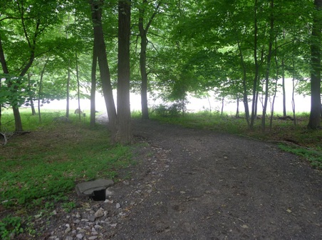 Enlarge photo 106