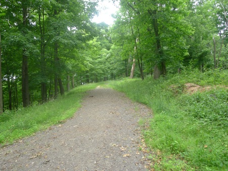 Enlarge photo 109