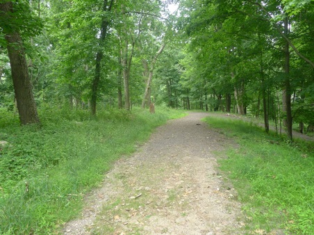 Enlarge photo 110
