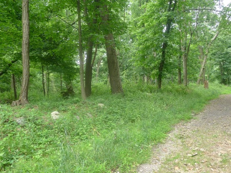 Enlarge photo 111