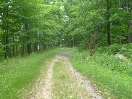 Enlarge photo 112