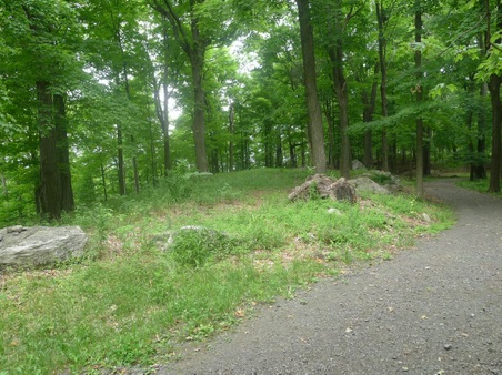 Enlarge photo 113