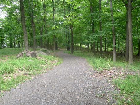 Enlarge photo 114