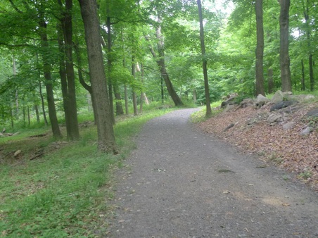 Enlarge photo 116