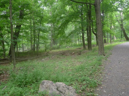 Enlarge photo 117