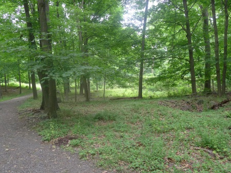 Enlarge photo 119