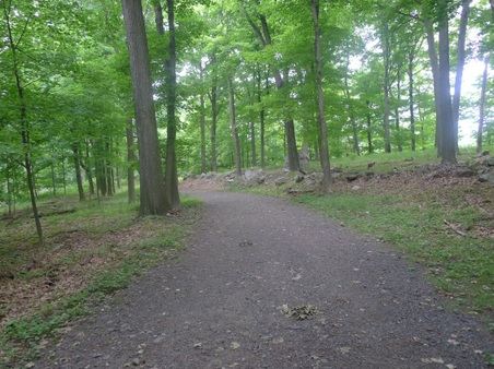 Enlarge photo 120