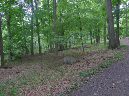 Enlarge photo 121