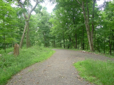 Enlarge photo 122