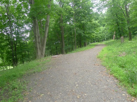 Enlarge photo 123
