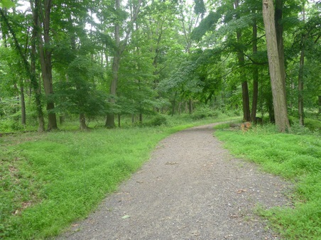 Enlarge photo 125