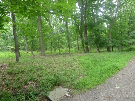 Enlarge photo 126