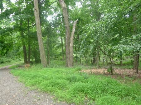 Enlarge photo 127