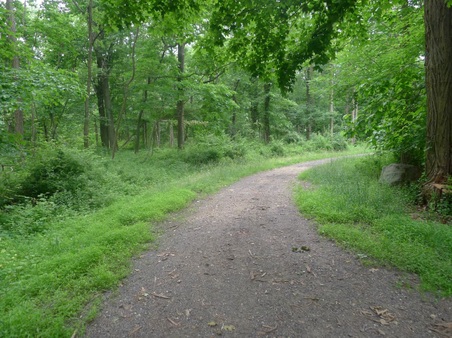 Enlarge photo 128