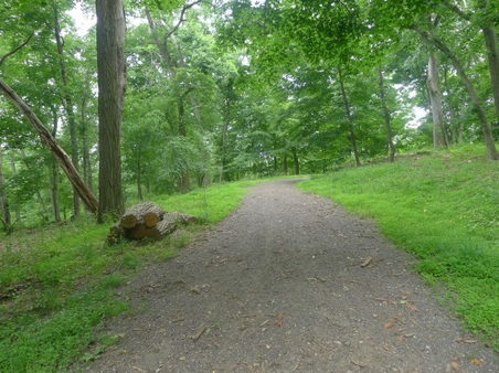 Enlarge photo 129
