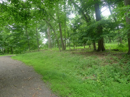 Enlarge photo 130