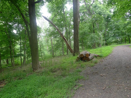 Enlarge photo 131