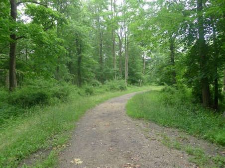 Enlarge photo 132