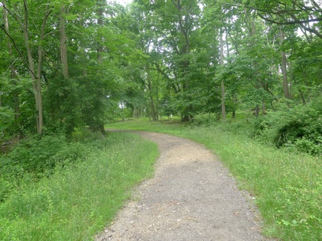 Enlarge photo 133