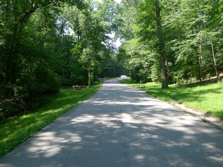 Enlarge photo 5