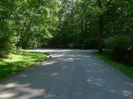 Enlarge photo 6