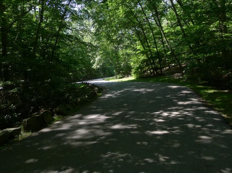 Enlarge photo 8