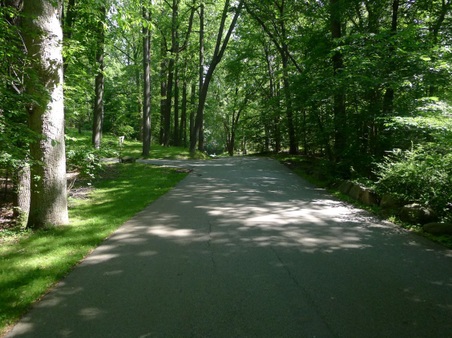 Enlarge photo 9