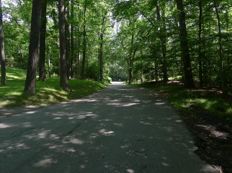 Enlarge photo 11