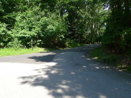 Enlarge photo 23