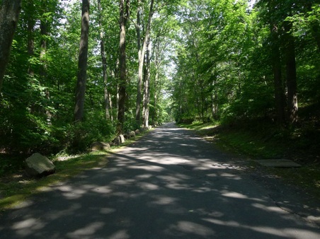 Enlarge photo 25