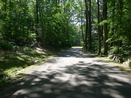 Enlarge photo 26