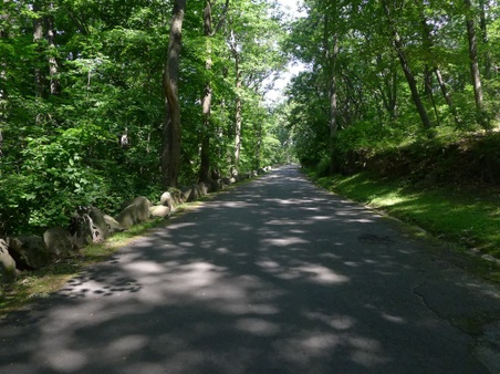 Enlarge photo 27