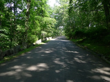 Enlarge photo 28