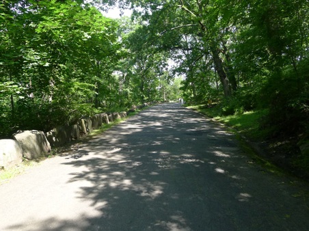 Enlarge photo 30