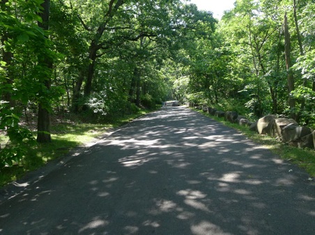 Enlarge photo 31