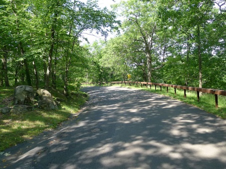 Enlarge photo 34